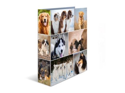 poradac pakovy a4 7 cm psi