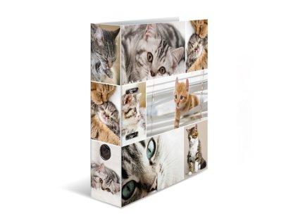 poradac pakovy a4 7 cm kocky