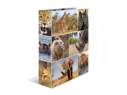 poradac pakovy a4 7 cm zvirata afrika