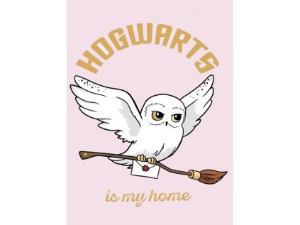 XL FLÍSOVÁ DEKA HARRY POTTER HEDVIKA DE LUX Ay 225 HP růžová (Velikost uni)