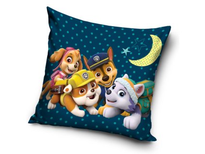 32171 polstarek paw patrol nocni hlidka