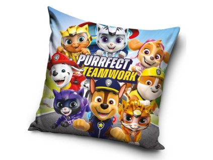 42017 detsky polstarek tlapkova patrola tymova prace