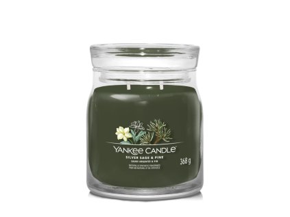 svicka yankee candle silver sage pine stredni