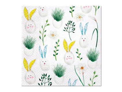 obrusky paw l 33x33cm rabbit eggs