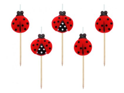 dortova svicka beruska 7 cm 5 ks