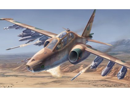 Suchoj Su-25 UB/UBK