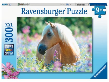 Kůň 300 dílků