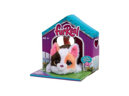 FUR REAL MY MINI'S KOTĚ