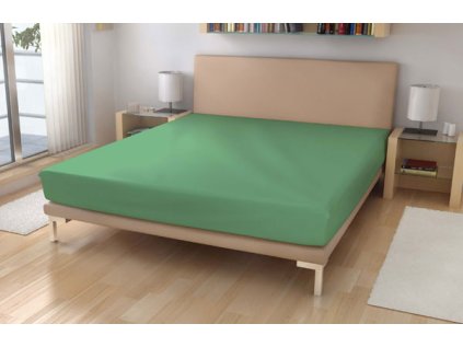 PP 02V34 jersey90 olivova