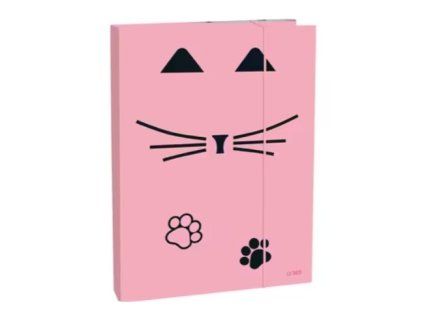 Box na sešity A4 Cat lady