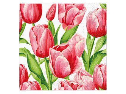 ubrousky paw l 33x33cm tulip time