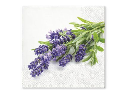 ubrousky tat 33x33cm lavender bunch