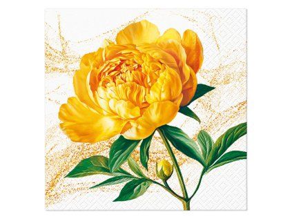 ubrousky paw l 33x33cm peony blossom