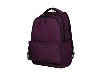 volnocasovy batoh walker alpha plum