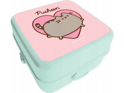 Svačinový box PUSHEEN