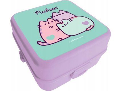Svačinový box PUSHEEN