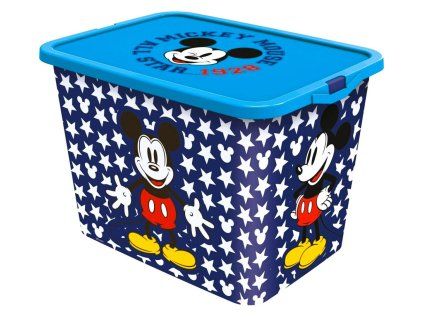 143773 ulozny box mickey velikost uni
