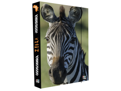 box na sesity a4 jumbo zebra