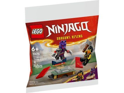 LEGO® Figurky Cole / Dragons Rising