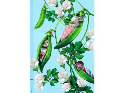 Narcis notes 14x20cm 64l/100g Pea Pods