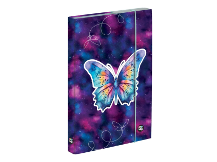 box na sesity a4 motyl