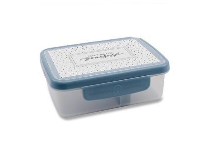 ZDRAVÁ SVÁČA Box Scandi - šedomodrá