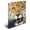 deska s gumickou pp a3 leopard