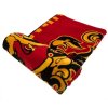 XL FLÍSOVÁ DEKA HARRY POTTER (Velikost uni)
