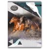 31139 70318 skolni sesit a5 kone nice and pretty ctvereckovany