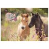 PODLOŽKA NA STŮL KONĚ I LOVE HORSES