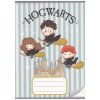 Sešit A5 Harry Potter 4 druhy linkovaný