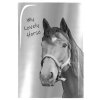 32343 74015 zapisnik a5 horse kone