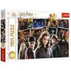 PUZZLE HARRY POTTER A PŘÁTELÉ 160 dílků