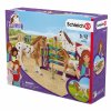 SCHLEICH SET APPALOSŠTÍ KONĚ A TRÉNINKOVÉ PŘÍSLUŠENSTVÍ