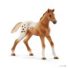 vyrp14 298722728 46713 schleich set appalossti kone a treninkove prislusenstvi