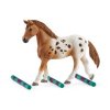 vyrp15 298722728 46714 schleich set appalossti kone a treninkove prislusenstvi