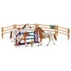 vyr 2987 22728 46708 schleich set appalossti kone a treninkove prislusenstvi