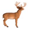 387038 4.animal