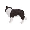 Mojo Border kolie