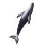 MJ387119 4