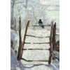 Galison Box s pohlednicemi Claude Monet Straka