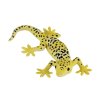 MJ381077 Leopard Gecko H