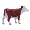 MJ381074 Hereford krava H