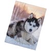 42956 mikroplysova deka sibirsky husky 150x200