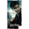 39301 detska osuska harry potter nebezpeci ciha vsude