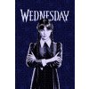 FLÍSOVÁ DEKA WEDNESDAY (Velikost uni)