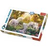 PUZZLE TAJNÁ ZAHRADA S JEDNOROŽCI 100 dílků