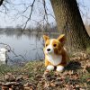 Rappa Plyšový pes corgi 32 cm ECO-FRIENDLY