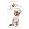 JERRY FABRICS DĚTSKÉ POVLEČENÍ Kočka Kitten White