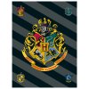 30155 67152 fleecova deka harry potter